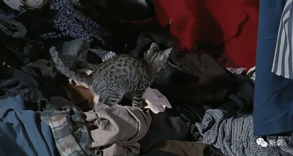 洛丽帕博携旗下三位艺术家参与首届视觉艺术博览会【星空体育APP网站】(图3) 星空体育app下载