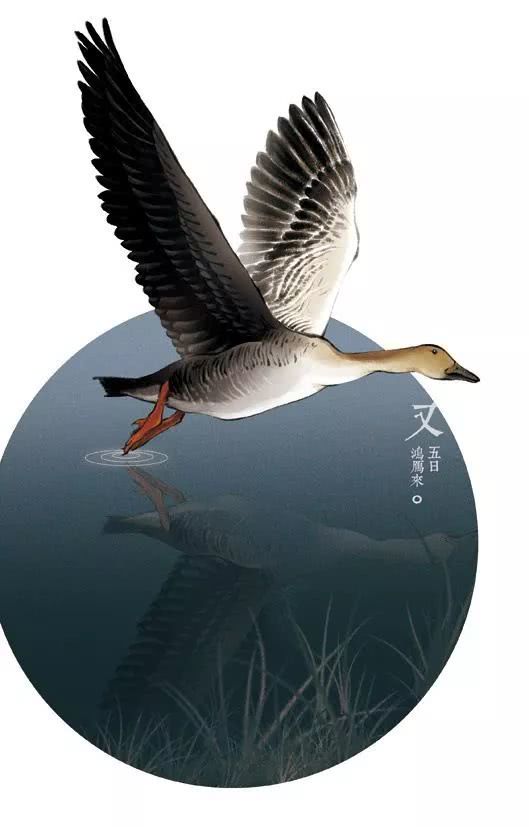 星空体育app下载|中国人全面接管!苏宁副总裁刘军兼任国米CEO(图1) 星空体育app下载