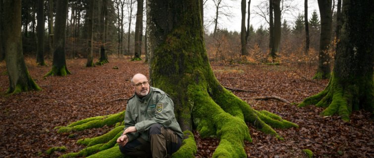 ‘星空体育APP’拍场屡现天价瓷器收藏退而求其次作者:方翔2016-04-0109:25:17来源:扬子晚报在3月26日举行的嘉德四季拍卖(图2) 星空体育APP