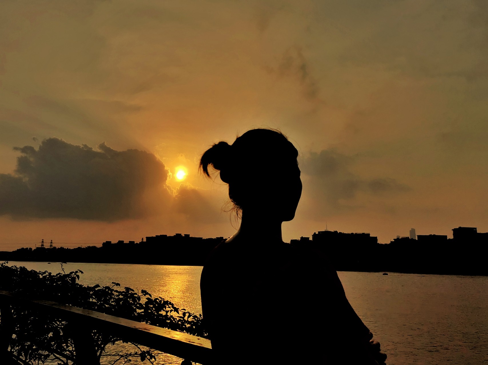 “笔外意象文化沙龙”首话古琴:古琴为什么突然火了_星空体育APP网站(图1) 星空体育APP网站