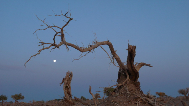 星空体育APP网站