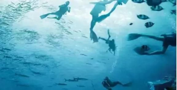 星空体育app下载