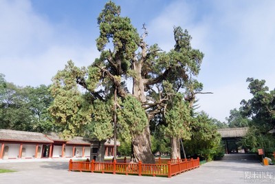 原创让人羡慕!日韩新星闪耀,利物浦差点被疯狂逆转,克洛普演表情秀|星空体育APP网站(图1) 星空体育APP