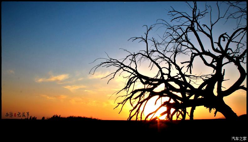 星空体育APP网站