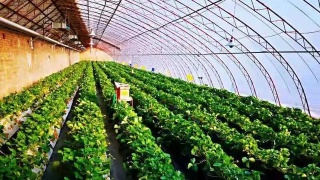 星空体育app下载_
他在法国做图画书 把《花木兰》讲出了自由女神的色泽(图1) 星空体育app下载