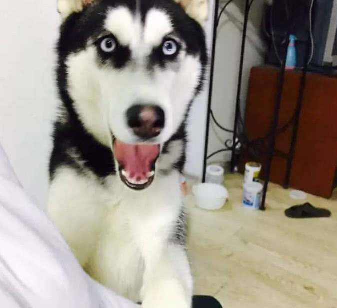 史上最全日照旅游景点大全,你玩过几个?‘星空体育APP网站’(图2) 星空体育APP