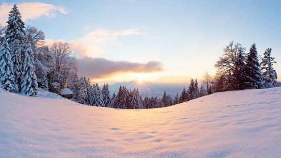 星空体育app下载