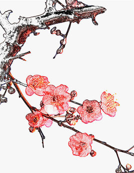 星空体育APP网站