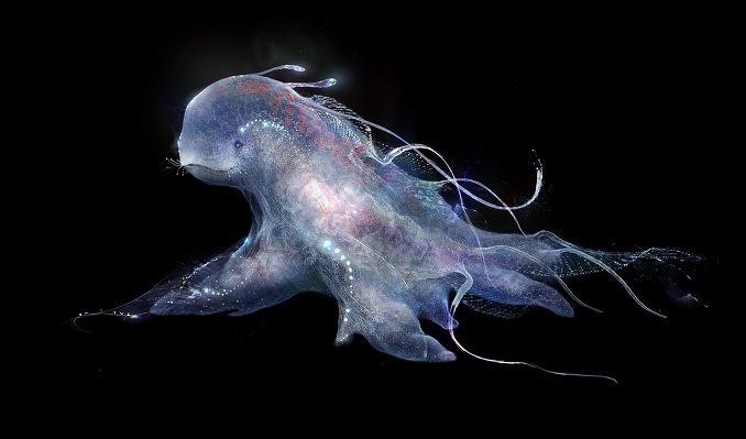 第五套人民币豹子号价值大?或为商家噱头|星空体育APP网站(图2) 星空体育APP