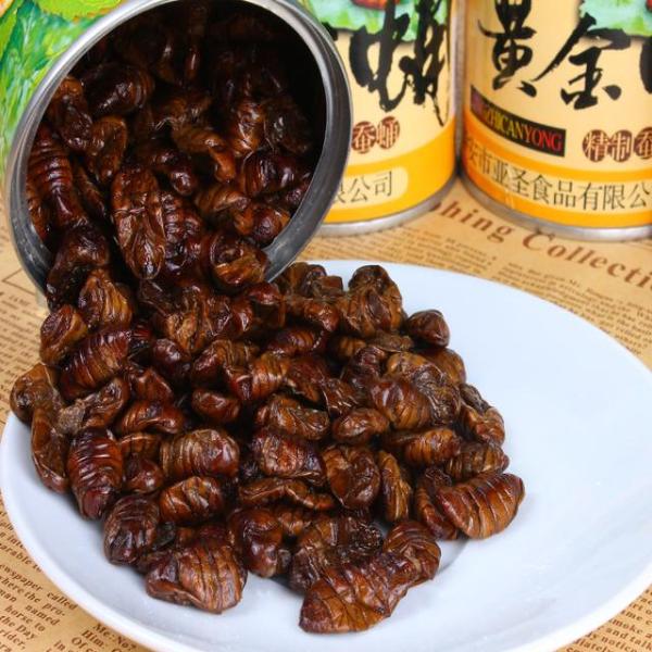 星空体育app下载