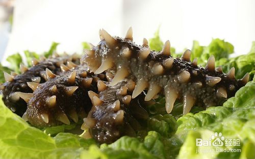 星空体育app下载