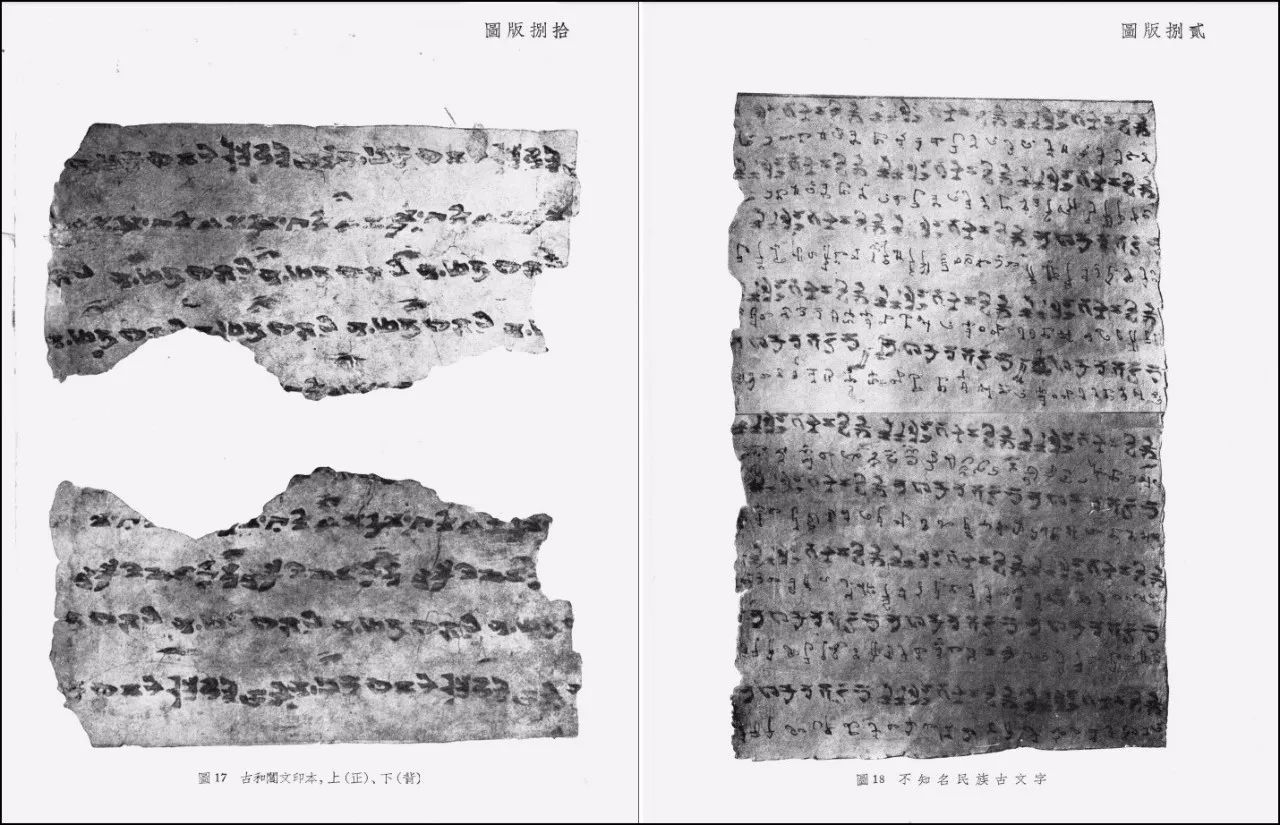 翡翠收藏:满绿翡翠高贵典雅通灵桃心吉祥美好作者:狂狷2014-06-2508:45:32来源:雅昌收藏频道满绿翡翠是翡翠|星空体育APP网站(图3) 星空体育app下载