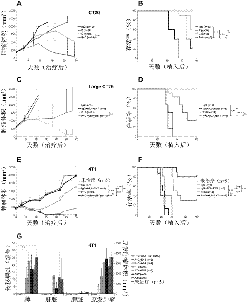 少东家很忙!时尚大鳄见不停 蓝黑军成商界新宠“星空体育app下载”(图2) 星空体育APP