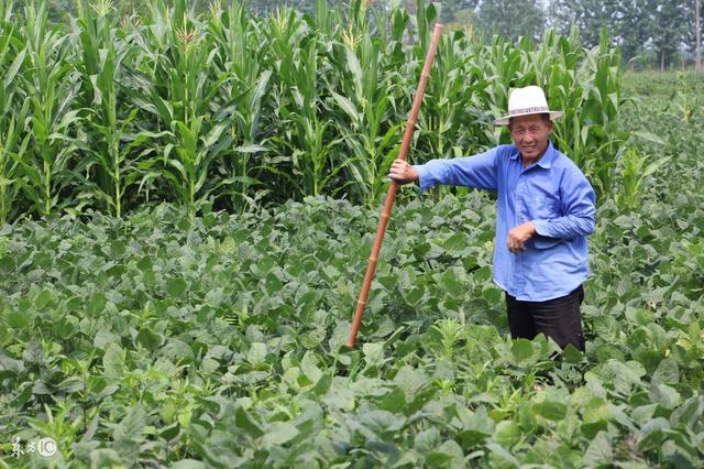 “星空体育APP”津媒:天海与投资商重启谈判,即将确定未来(图3) 星空体育APP