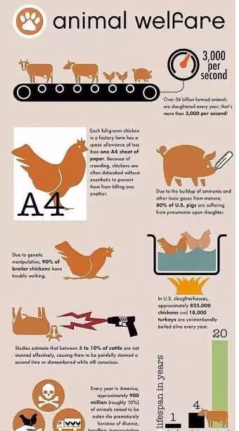 14版熊猫精制银币价格齐创新高“星空体育app下载”(图2) 星空体育app下载