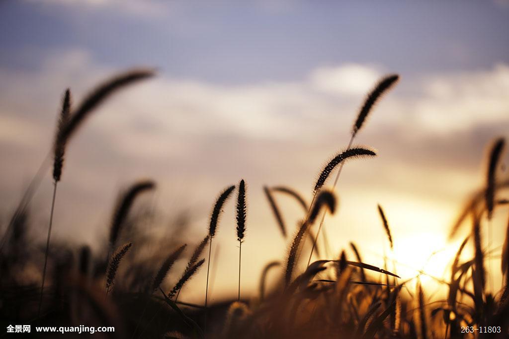 <h1>浙江明年艺术类高考生 12月1日起网上报名‘星空体育APP网站’(图3) 星空体育APP网站