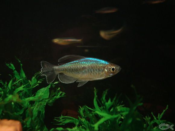 【星空体育APP网站】热身-防线新援连场进球 尤文2-1逆转南华取2连胜(图3) 星空体育APP网站