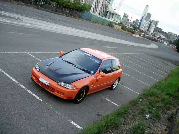 星空体育app下载_从2015春拍看书画市场走向(图2) 星空体育APP