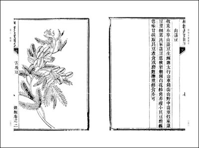 <h1> 纪念红军长征胜利80周年庄乔莎红之韵系列——领袖作品欣赏【星空体育APP】(图3) 星空体育APP网站