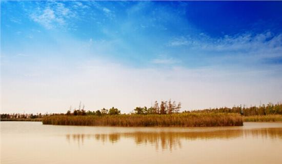 递补进中超?深足官方:深足并未接到有关方面的任何通知【星空体育APP】(图3) 星空体育APP网站