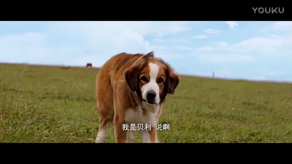 提炼自己的笔墨语言——李强的艺术创造:星空体育app下载(图3) 星空体育APP网站