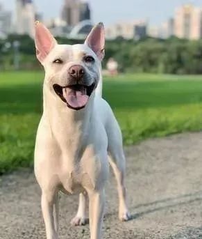 星空体育app下载