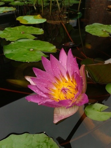 星空体育app下载