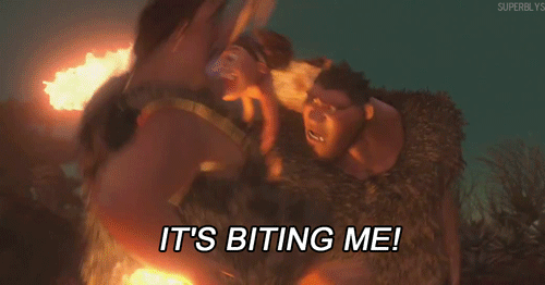 星空体育app下载