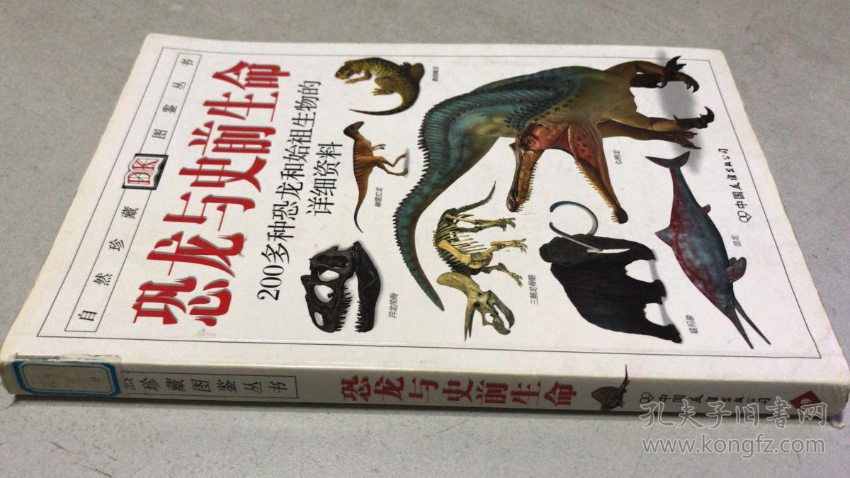 星空体育APP网站