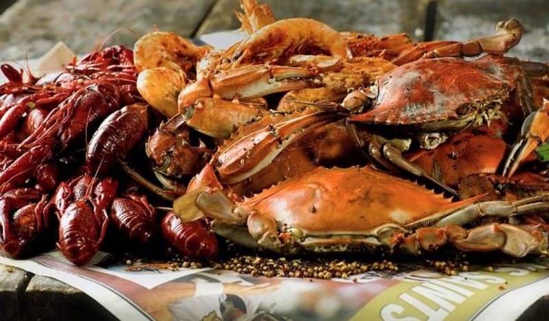 星空体育app下载