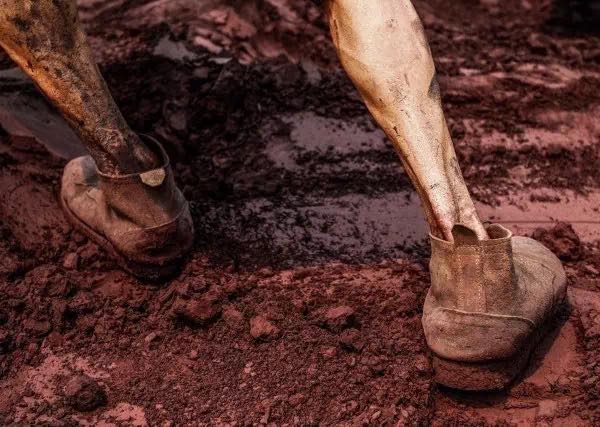 星空体育app下载