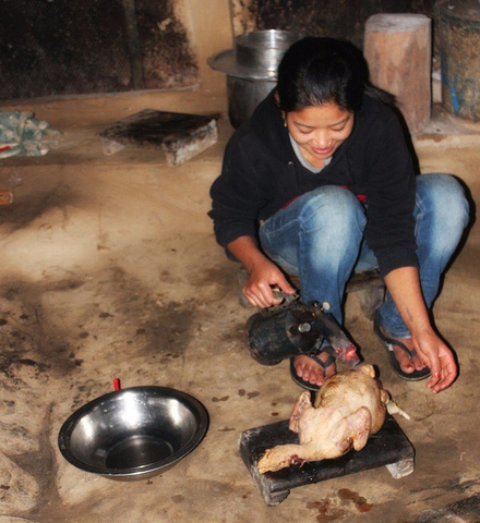 星空体育APP网站