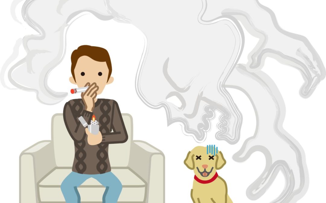 星空体育app下载|津媒:天海与一家北京企业达成转让协议,该企业承担一切债务(图1) 星空体育APP网站