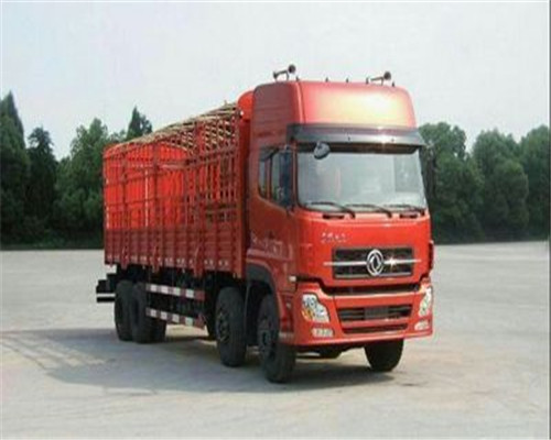 中超赛事:杨旭与武磊同心协力,最终权健3-2大胜上港_星空体育APP(图1) 星空体育APP