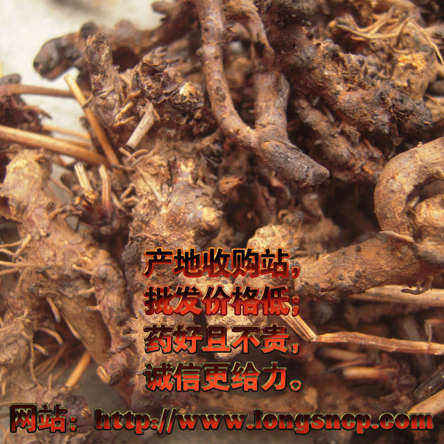 星空体育app下载