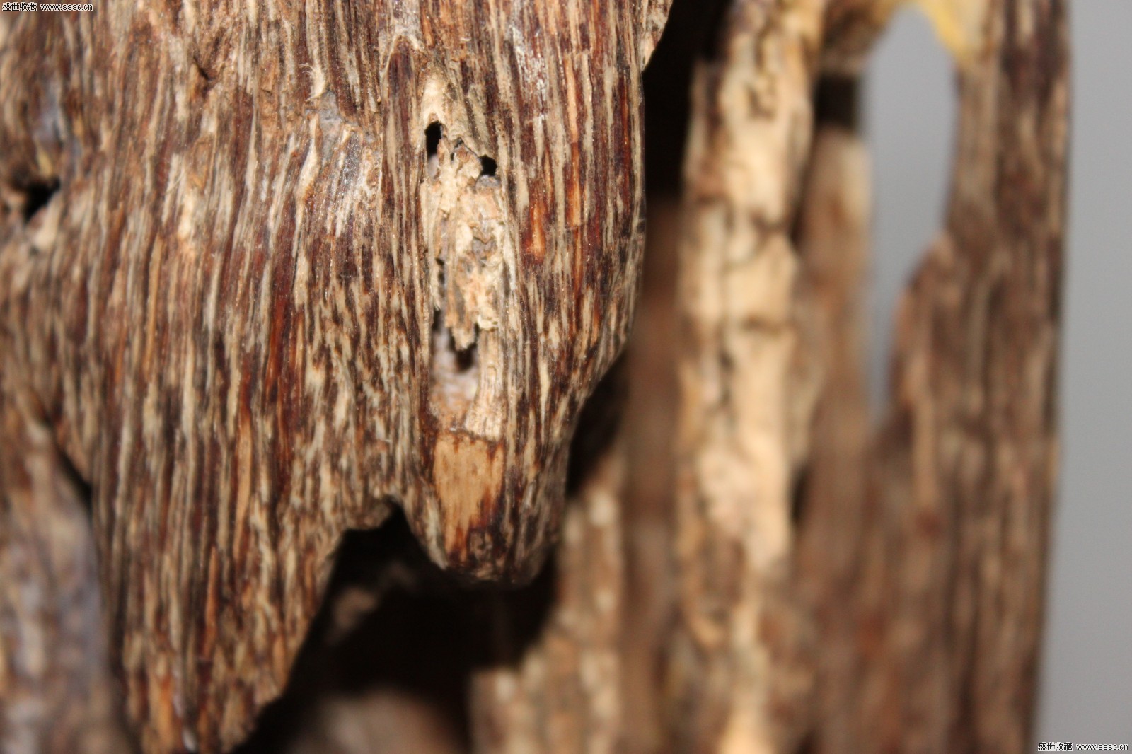 星空体育APP网站-
本赛季英超球员身价排行榜:曼城边锋居榜首 红军哼哈二将入前3(图2) 星空体育APP网站