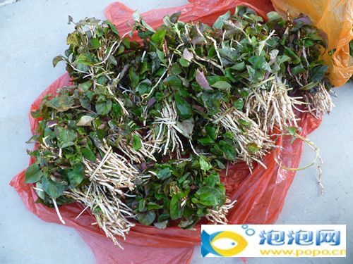 星空体育APP|国足左后卫最强黑马被蒿俊闵打爆!曾被誉为李学鹏的最佳接班人(图3) 星空体育APP网站