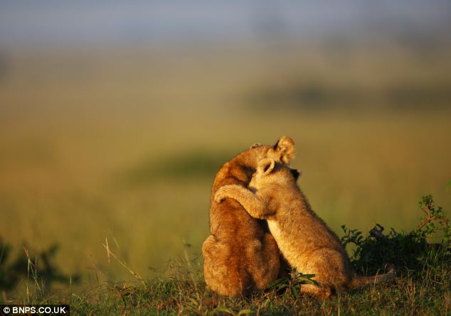 【雅昌专访】陈克建:“百家百场”将开启线上拍卖新纪元|星空体育app下载(图2) 星空体育app下载