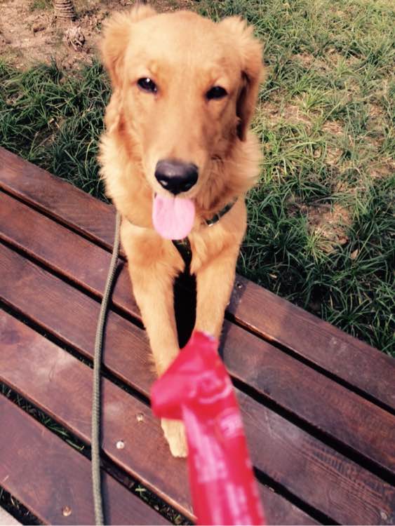 秦升直言国足两将水平和能力都堪比外援!他的能力曾征服郑智‘星空体育APP’(图4) 星空体育app下载