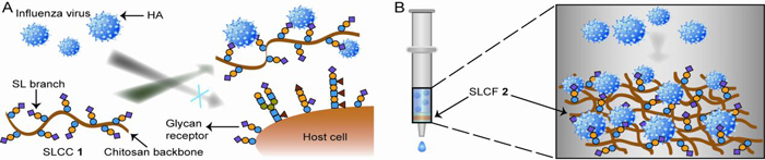 星空体育APP网站