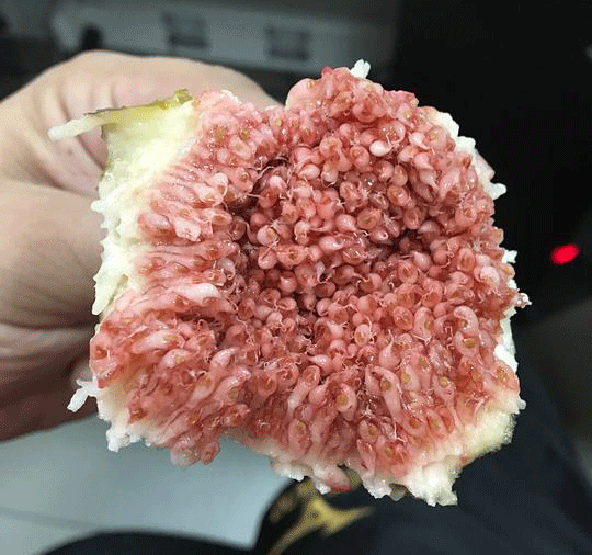 足协新政将让u23球员集体上位,留洋妖星已锁定恒大新核位置?_星空体育APP(图2) 星空体育APP网站