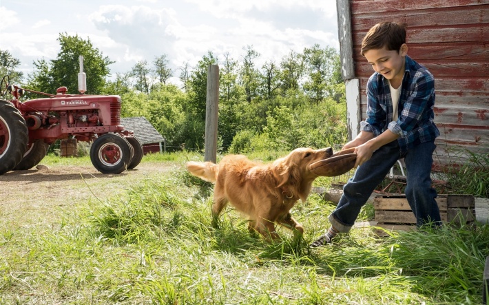 星空体育APP网站