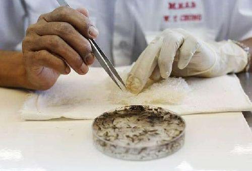 星空体育app下载