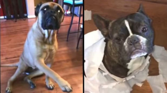 星空体育APP网站