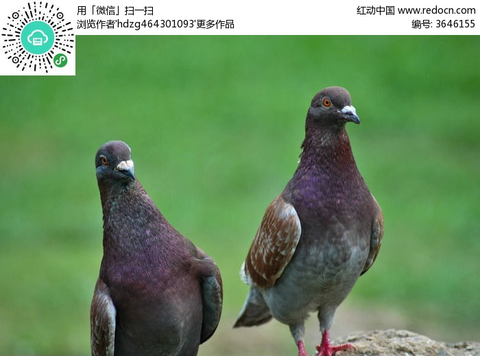 ‘星空体育app下载’旺达:很高兴伊卡尔迪回归首发(图2) 星空体育APP