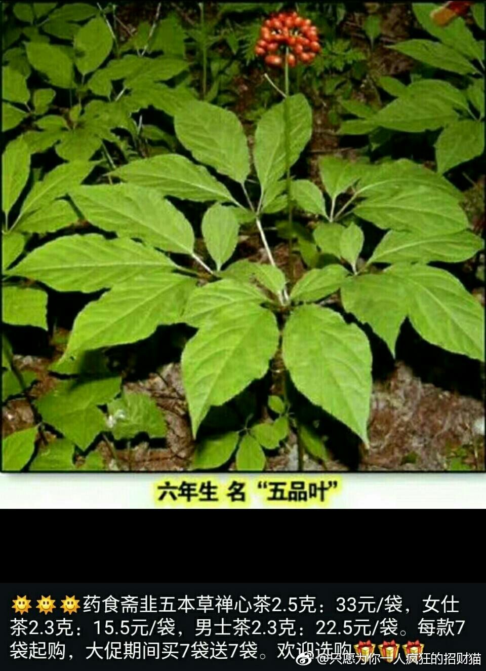 星空体育APP-欧足联宣布重罚米兰!扣留欧战奖金 最糟或禁赛(图1) 星空体育app下载