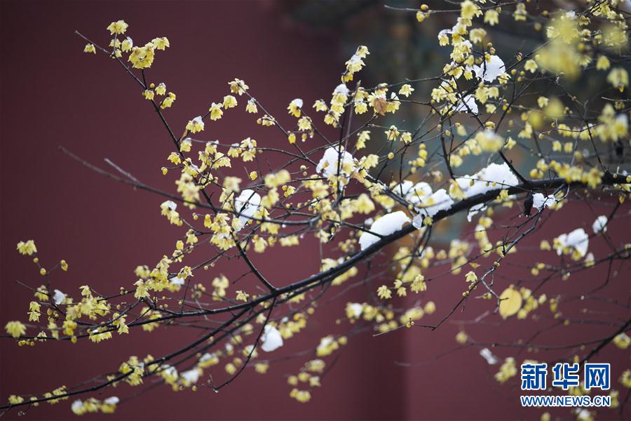 星空体育APP网站